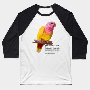 Lutino rosy-faced lovebird black text Baseball T-Shirt